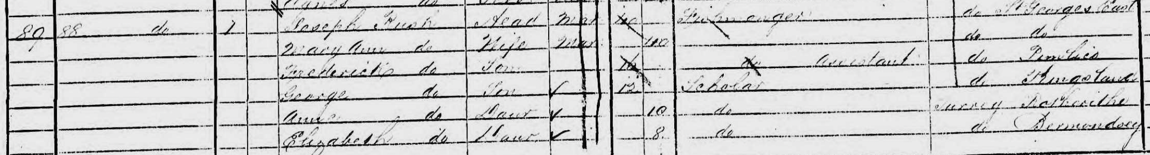 1871 census, 88 Larkhall Lane