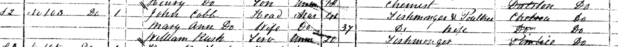 1871 census, John Cobb household, Newington Butts